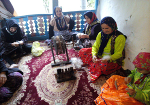 آشنایی با روستای بکر و زیبای کوریه + تصاویر