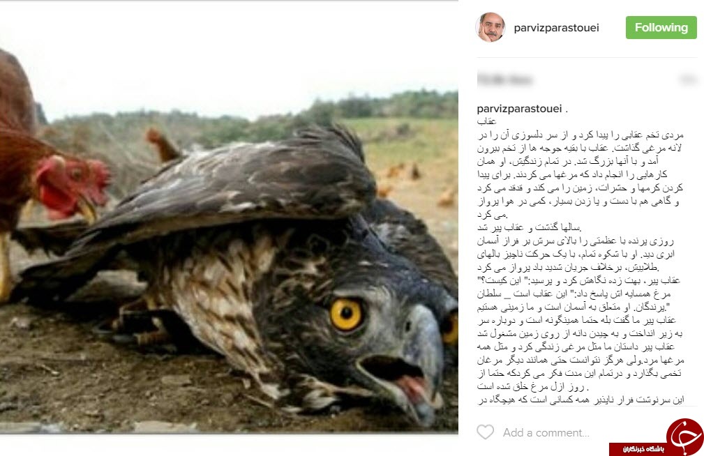 یک نکته آموزنده در اینستاگرام بازیگر مطرح سینما+اینستاپست