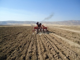 آغاز کاشت گندم در خراسان جنوبی