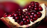 قیمت میوه در بازار امروز