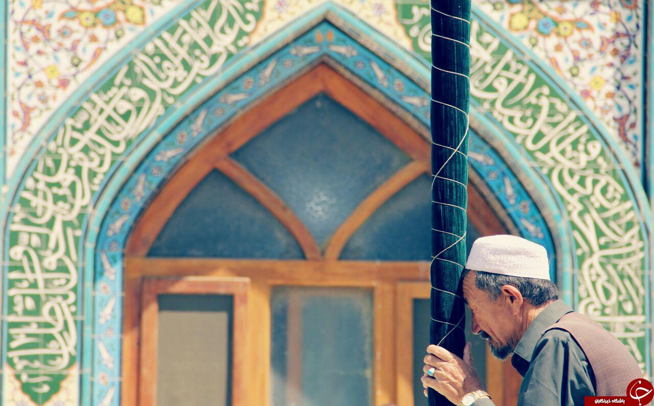 عکسی از ارادت پیرمرد افغانستان به نماد مذهبی جهنده