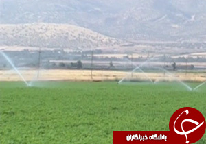 گزارش های پخش شده از آبیاری نوین تا انار ترش مازندارن+ فیلم