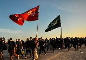 ورود جاماندگان از پیاده روی اربعین به سومین حرم اهل بیت (ع)