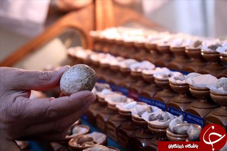 عجیب&zwnj;ترین کلکسیون جهان در مطب یک &zwnj;پزشک
