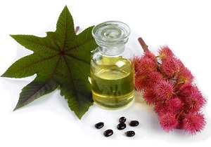 ترکیبات گیاهی که در عرض یک هفته ابروهایتان را پرپشت می‌کنند