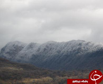 نخستین برف پاییزی در گلستان + تصاویر