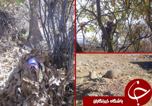 درخشش دانش آموزان استان در مسابقات کشوری پدافند غیر عامل