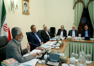 زبان فارسی یاور ما در دیپلماسی رسمی کشور است