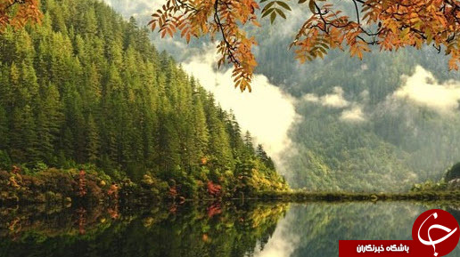 طبیعت پاییزی زیبا در کشور های مختلف دنیا