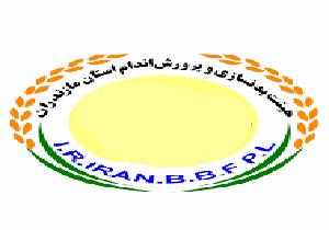 غفارنژاد به جمع حرفه ای های جهان پیوست
