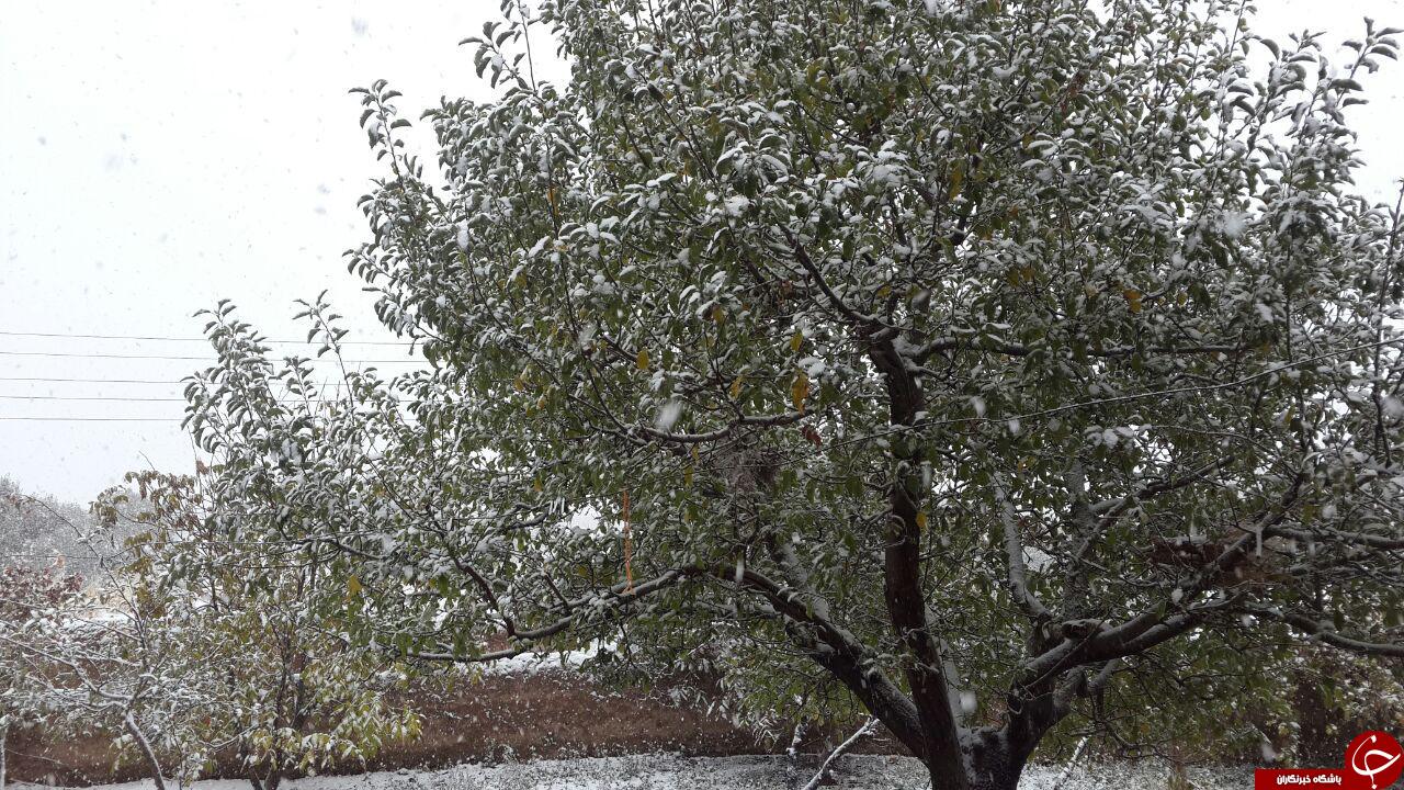بارش برف پاییزی در روستای ایل&zwnj;بلاغی + تصاویر