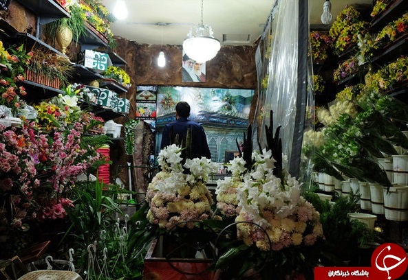 مراسم تعویض گلهای ضریح حرم حضرت معصومه(س)+تصاویر