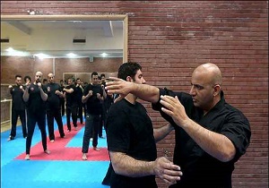 بادیگاردهای ایرانی برای الناز شاکردوست و گلزار!