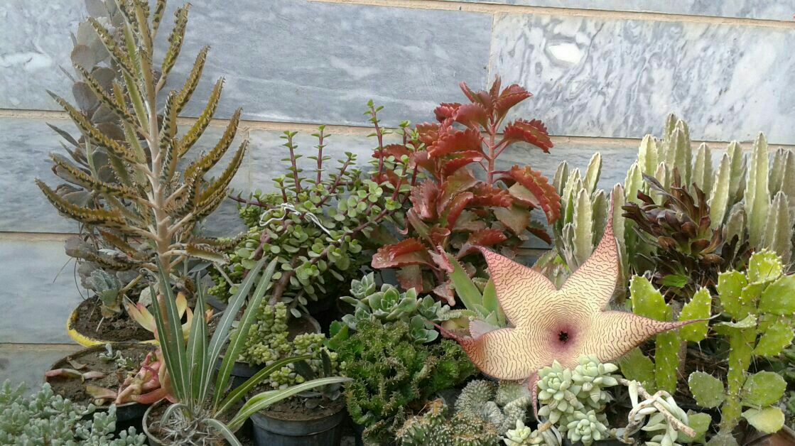 برگزاری نمایشگاه صنایع دستی ملایر در موزه دفاع مقدس