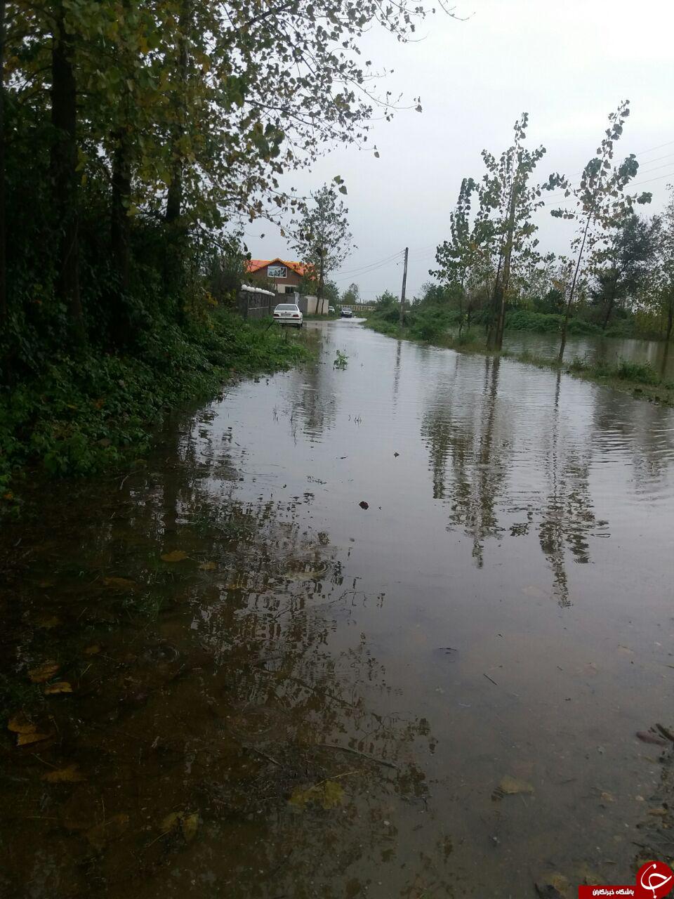 آبگرفتگی بر اثر بارش باران در روستای کیشستان + تصاویر آبگرفتگی بر اثر بارش باران در روستای کیشستان + تصاویر