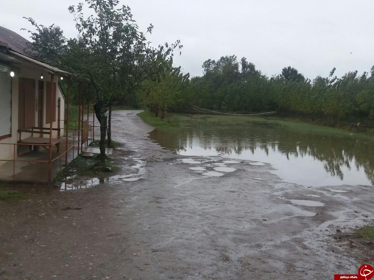 آبگرفتگی بر اثر بارش باران در روستای کیشستان + تصاویر