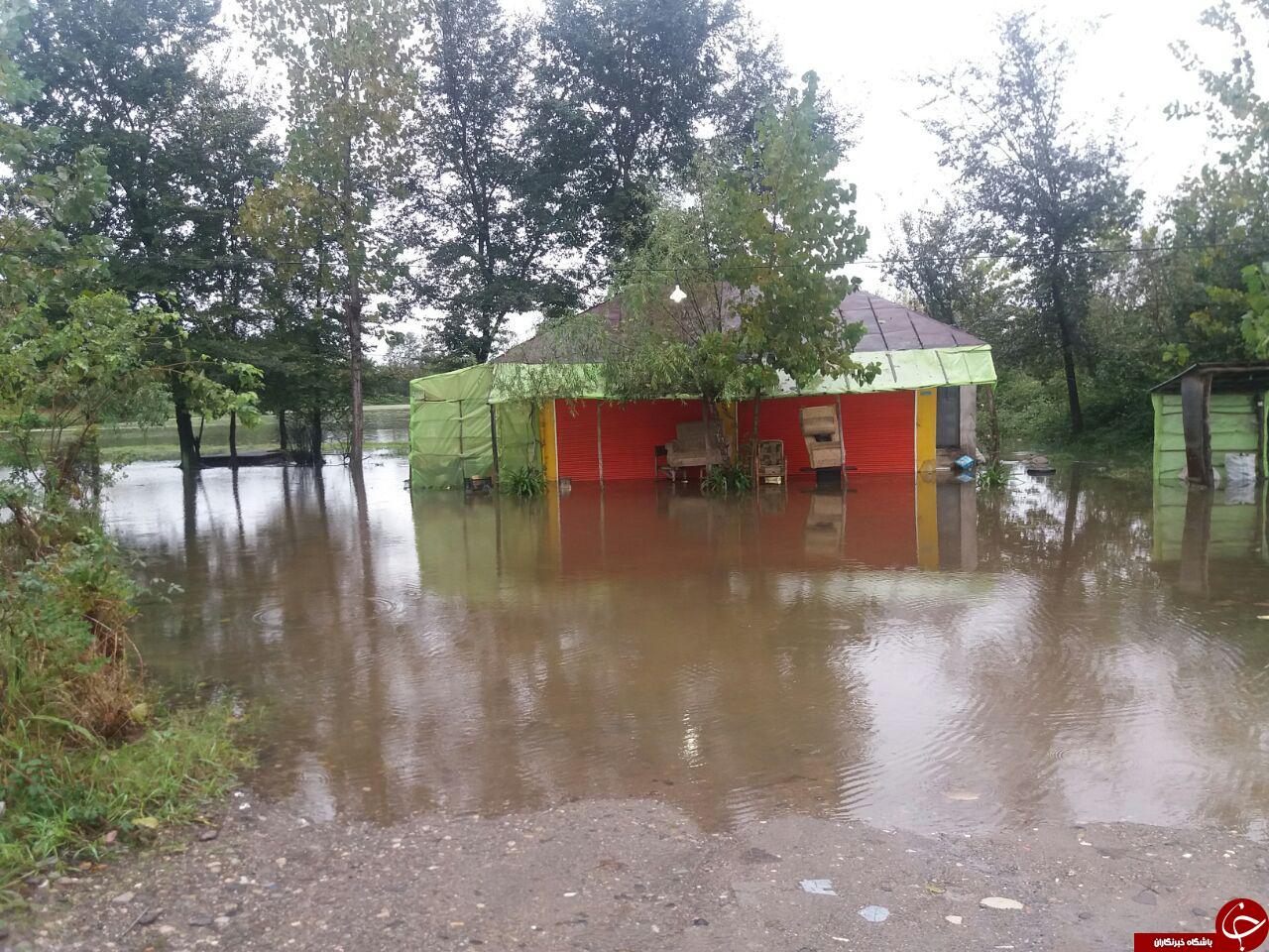 آبگرفتگی بر اثر بارش باران در روستای کیشستان + تصاویر