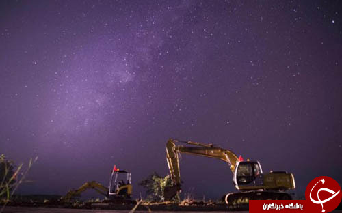 از تولید طلای خالص در سیبری تا مهر مادری یک سمور آبی