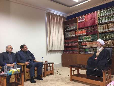 اقتصاد مقاومتی راهبردی موثر برای رفع مشکلات اقتصادی کشور است