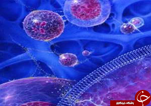 سرخط جذاب ترین خبرهای استان فارس