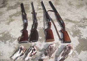 دستگیری شکارچی غیرمجاز مرغابی در تالاب داشخانه مهاباد
