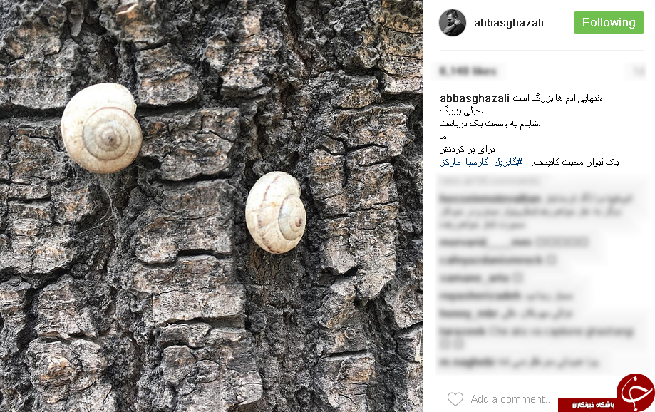اینستاگردی؛
