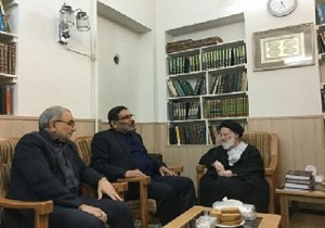 تاکید آیت الله شبیری زنجانی براستفاده از ظرفیت های کشور در دیدار دبیرشورای عالی امنیت ملی