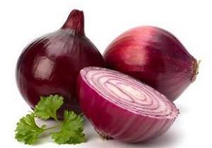 سربازی جنگجو برای نابودی دشمنان بدن