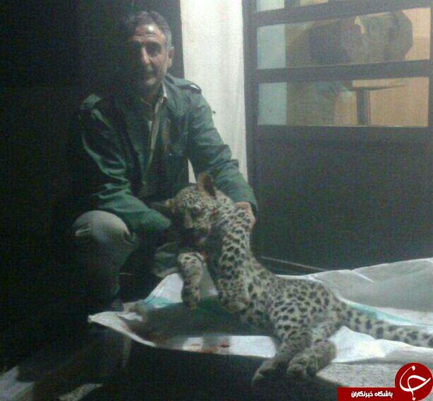 نگاهی گذرا به مهمترین رویدادهای 8 آبان در مازندران