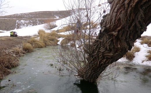 بهورد کجاست + تصاویر