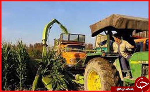 از انهدام باندهای ترانزیتی تا ردپای پلنگ ایرانی