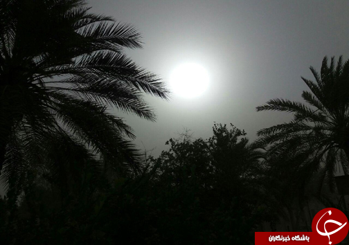 وزش باد شدید و  کاهش دید افقی در بندرعباس+عکس