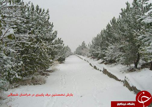 سفید پوش شدن برخی از استان ها با برف پاییزی به روایت تصویر