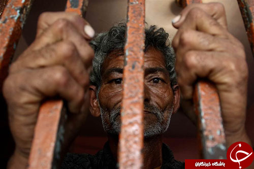 از تظاهرات  چند هزار نفری در سئول تا حذف سارکوزی از کارزار انتخابات ریاست جمهوری فرانسه