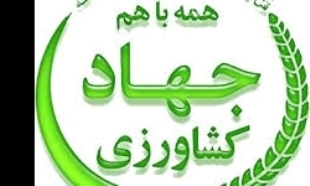کشاورزان مراقب سرمازدگی محصولات کشاورزی خود باشند