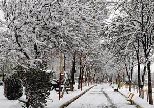 کاهش دمای هوا در اردبیل /تعطیلی مدارس به دلیل برودت هوا