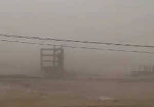 هشدار! اینجا چشم، چشم را نمی‌بیند + فیلم