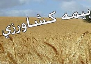 تمدید مهلت بیمه محصولات زراعی و باغی در استان کردستان