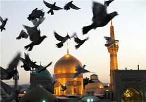 با چه کسانی باید مشورت کرد + پاسخ امام رضا(ع)