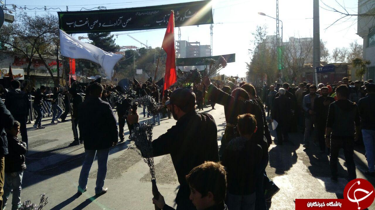 در حرم ملائک نشین رضوی امروز غوغایی برپاست