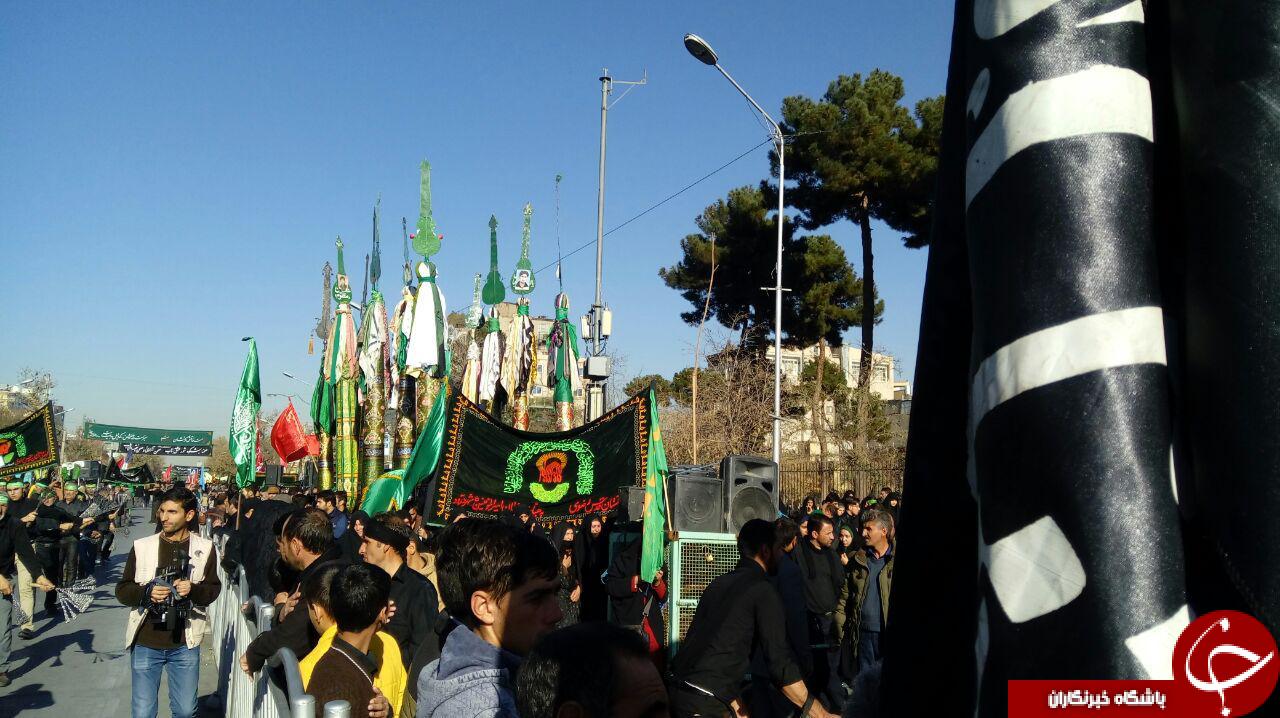 در حرم ملائک نشین رضوی امروز غوغایی برپاست