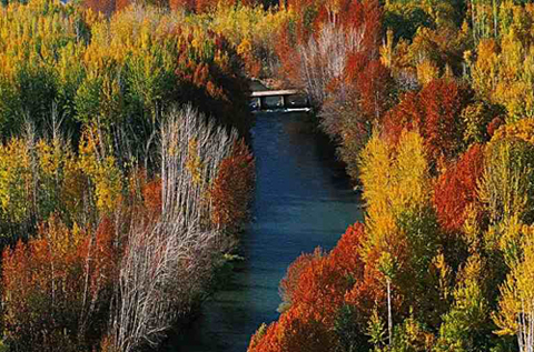 طبیعت پاییزی چهارمحال و بختیاری از جلوه های خودنمایی رنگها