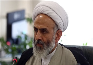 دیدار رئیس سازمان اوقاف وامورخیریه با آیت الله صافی گلپایگانی