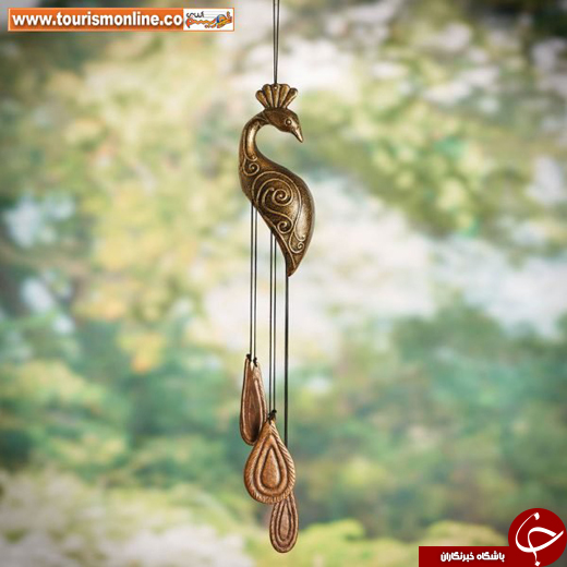 عکس/ دکوراسیونی از جنس طاووس عکس/ دکوراسیونی از جنس طاووس