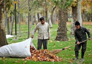 تبدیل برگ های پاییزی به خاکبرگ