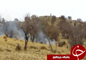 شهروندخبرنگار: آتش‌سوزی در جنگل‌های پر اشکفت ممسنی + فیلم