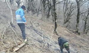مهار آتش سوزی در جنگل‌های استان گلستان