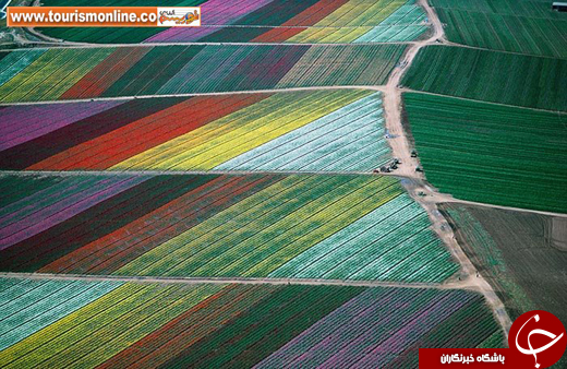 تصاویر برگزیده طبیعت، از نگاهِ نشنال جئوگرافیک