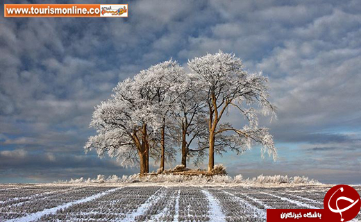 تصاویر برگزیده طبیعت، از نگاهِ نشنال جئوگرافیک