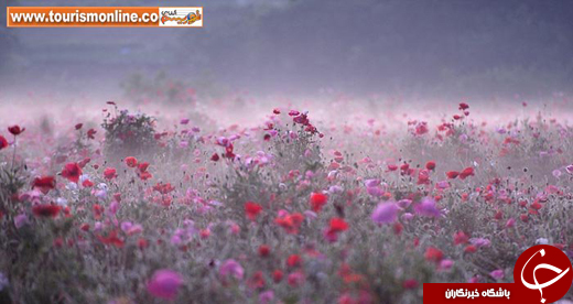 تصاویر برگزیده طبیعت، از نگاهِ نشنال جئوگرافیک